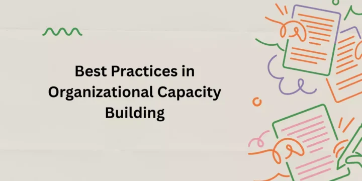 Best Practices in Organizational Capacity Building